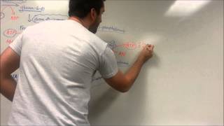 Easy Glycolysis Pathway [upl. by Keeryt]