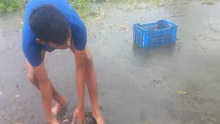 Traditional Fishing in Bangladesh  Rural Fishing 20 [upl. by Elleinnad333]