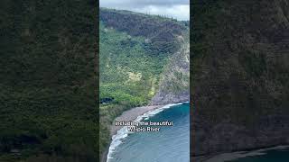 Fascinating facts about Waipio Valley Lookout shortsvideo nature travel [upl. by Tisbe]