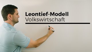 LeontiefModell Güterströme einer Volkswirtschaft Berufskolleg Wirtschaft Verwaltung [upl. by Lansing]