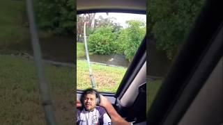 Ele nem precisou descer do carro pra pegar esse Robalo flecha [upl. by Dorothi]