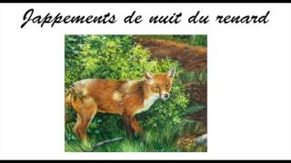 cris nocturne du renard [upl. by Cupo]