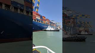 CMA CGM SHIPPING LINE UNBERTHING VIDEO 5TUG shortvideo shiplover shiplovers [upl. by Ariadne]