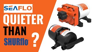 CaravanRV Water Pump Replacement  Is Seaflo quieter than Shurflo [upl. by Wohlen]