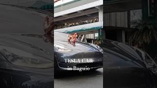 TESLA CAR joins Chinese Lunar Year 2024 Colorful Grand Parade in Baguio City tesla teslacar [upl. by Barbi]