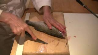 How to scale gut and fillet a fish [upl. by Oconnor]