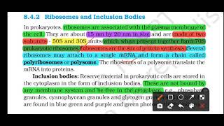 Ribosome amp inclusion bodiesNCERT lines extractedpart5cell the unit of life [upl. by Waters411]