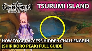 Genshin Impact  Hidden Challenge Underground In Shirikoro Peak How To Get Access Puzzle Guide [upl. by German]