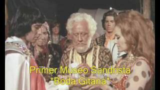 Boda gitana Zarda húngara [upl. by Geibel]