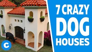 7 Extreme Dog Houses [upl. by Ahsinik]