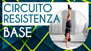 Circuito resistenza base per la verticale handstandtutorial handstandworkout calisthenics [upl. by Edrock]