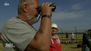 Plane Spotter  Flugzeugbegeisterte bei Air Defender 23 am Fliegerhorst Wunstorf [upl. by Laamak]