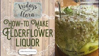 Howto Make Elderflower Liquor Ep 3 Fridays with Flora [upl. by Kettie]