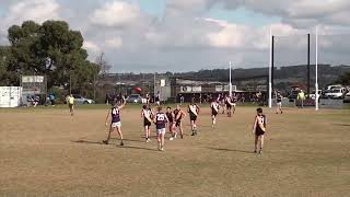 Geelong FNL Round 4  Grovedale vs St Marys [upl. by Aneele]