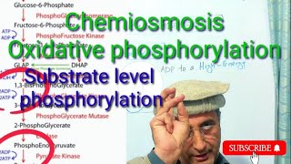 Chemiosmosis Substrate level and Oxidative phosphorylation ETC [upl. by Backer]