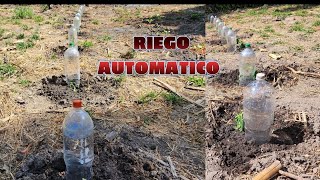 Como hacer Riego automático con BOTELLAS de Plástico [upl. by Hterrag200]