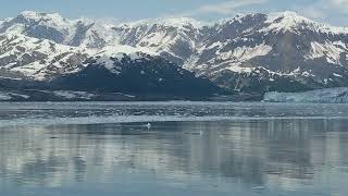 20240627 Hubbard Glacier Alaska 43 [upl. by Euqinomod]