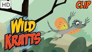 Wild Kratts  Gliding Like A Pro [upl. by Enilegnave778]