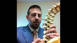 Dr Roth Lumbar Spinous Process [upl. by Vitale]