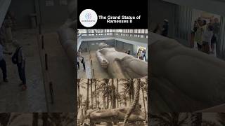 The Colossal Statue of Ramesses II egyptianhistory ancientegypt RamessesII archaeology [upl. by Persons885]