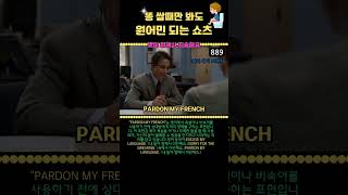 889 영어 공부 이렇게 하세요 영어 가능해요 PARDON MY FRENCH [upl. by Jessy]