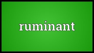 Ruminant Meaning [upl. by Atsilac806]