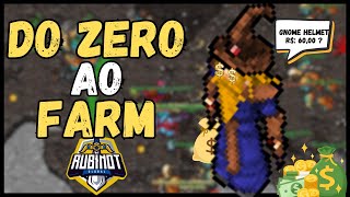 DO ZERO AO RMT FARM RL COM RUBINOT [upl. by Esille863]