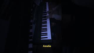 amelie piano [upl. by Artemas972]