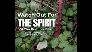 1110 Watch Out For The Spirit Of The Bramble Bush [upl. by Beaner437]