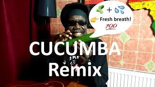 Cucumba Remix feat Macka B by KimboBeatz  Jamaican Cucumber Song [upl. by Costanza6]