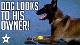 Smartest Dog on Romanias Got Talent 2018  Got Talent Global [upl. by Boyt723]