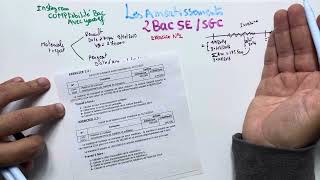 Les amortissements 2BAC SESGC exercice d’application balance partie 1 [upl. by Pompei]