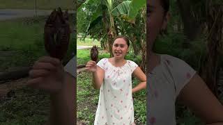 BULAD PINIKAS🤭 funny shortvideo bisayavlogger motivation [upl. by Leandra94]