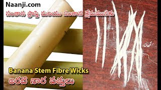 Making of Arati nara vattulu  Banana stem fiber wicks  సంతాన ప్రాప్తి మరియు సంతాన క్షేమమునకు [upl. by Koa478]