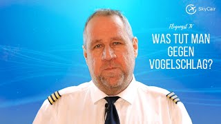 Ohne Angst fliegen Wie verhindert man das Vögel ins Triebwerk eines Flugzeugs geraten [upl. by Einnoc568]