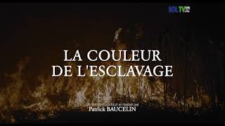 LA COULEUR DE LESCLAVAGE de Patrick BAUCELIN A LESPACE PAUL ELUARD DE STAINS Un Film de EOL [upl. by Eli]