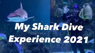 My Shark Dive Experience at The Skegness Aquarium 2021 [upl. by Butterworth722]