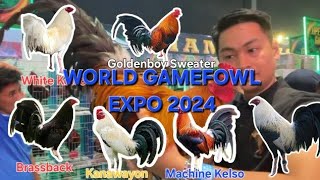 World Gamefowl Expo 2024oLoyTV  Bloodline and Price Part2 [upl. by Arret]