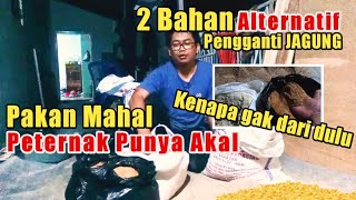 ALTERNATIF PAKAN TERNAK AYAM [upl. by Kensell]