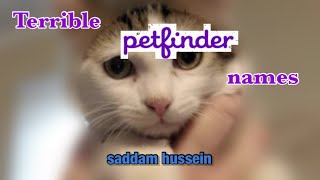 TERRIBLE PETFINDER NAMES [upl. by Nat]