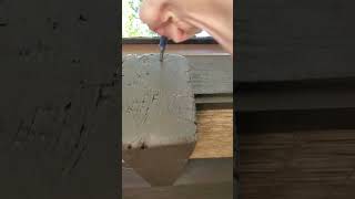 Crunchy Damages inspection asmrsounds satisfying pestcontrol [upl. by Sarid890]