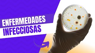 Emisión en directo  Enfermedades infecciosas  Parte 2  Patología 2024B [upl. by Saimerej248]