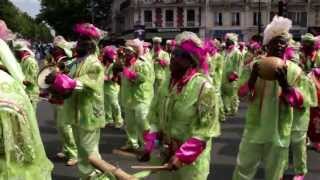 Association Dynamic Karnaval de SainteLuce Martinique au Carnaval de Paris 2013 [upl. by Ermentrude]