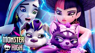 Frankie amp Draculaura’s Pets Get Caught By Humans  Monster High [upl. by Ysset]