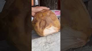 Coconut Cutting Skills coconut shortsviral streetfood experiment explore fruit skills fypシ゚ [upl. by Rehpotsirhcnhoj]