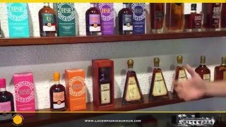 Rhum agricole vs rhum de mélasse  quelles différences [upl. by Buna]