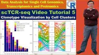 scTCRseq Video Tutorial 5 Clonotype Visualization by Cell Clusters [upl. by Ayikin]