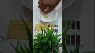 Kesh king onion shampoo pH testing।phtesting phlevel keshkingshampoo [upl. by Lehcir]