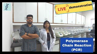 Polymerase Chain Reaction PCR Live demonstration Practical process for PCR [upl. by Adiuqal]