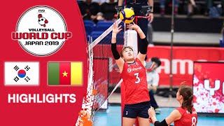 KOREA vs CAMEROON  Highlights  Womens Volleyball World Cup 2019 [upl. by Rickie525]